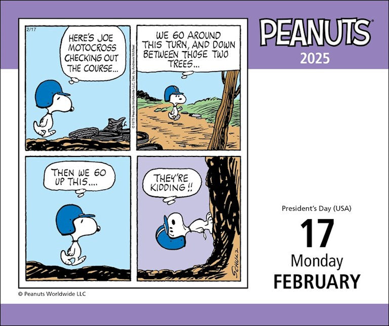 Peanuts Happiness is.. 2025 Page A Day Calendar    