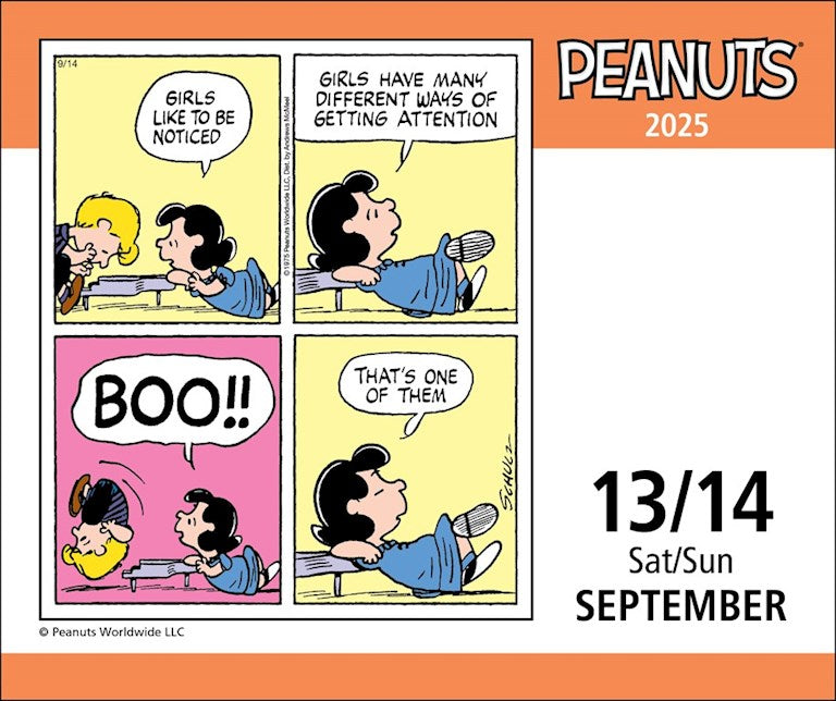 Peanuts Happiness is.. 2025 Page A Day Calendar    