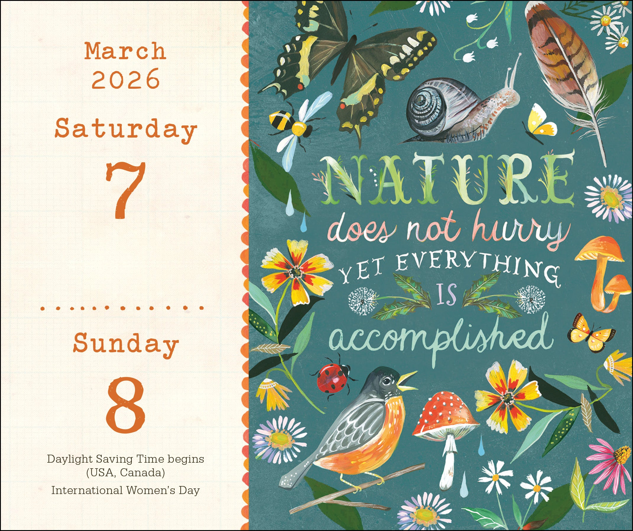 Katie Daisy Wild Beauty 365 Page a Day 2026 Calendar