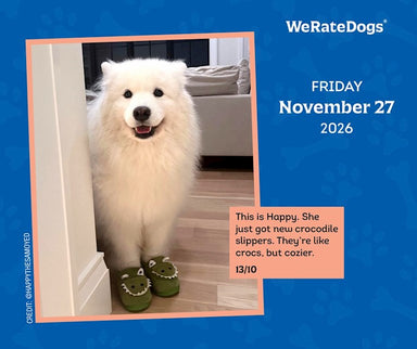 We Rate Dogs 2026 Page-A-Day Calendar