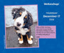 We Rate Dogs 2026 Page-A-Day Calendar
