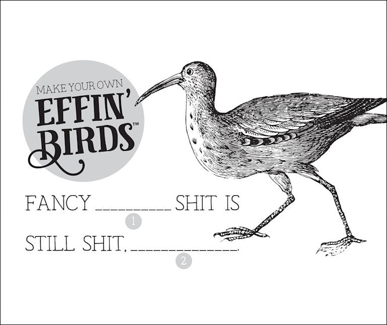 Effin' Birds 2026 Page-A-Day Calendar