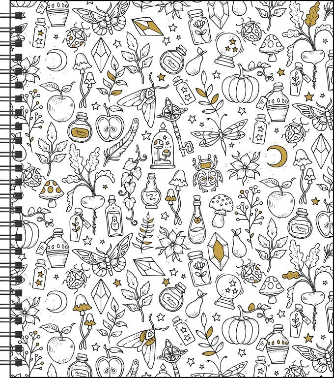 Johanna Basford 2026 Coloring Engagement Calendar