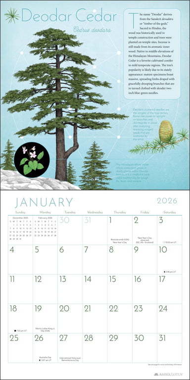 Trees of Life 2026 Wall Calendar