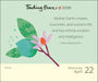 Thich Nhat Hanh 365 Page A Day 2026 Calendar