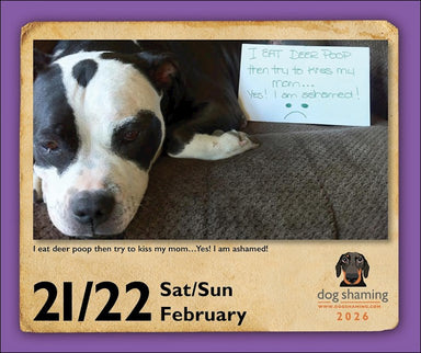 Dog Shaming 2026 Page-A-Day Calendar
