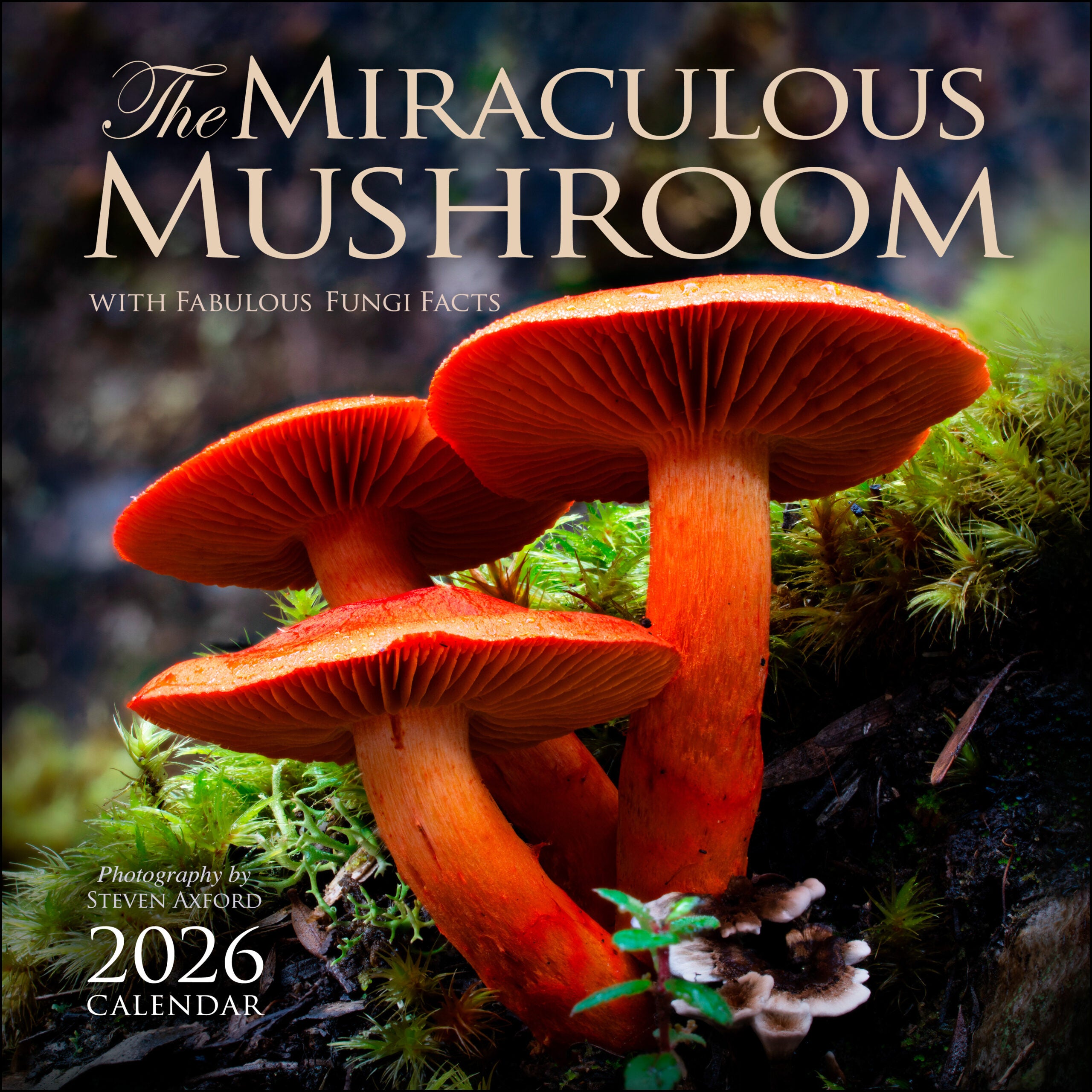 The Miraculous Mushroom 2026 Wall Calendar