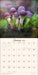 The Miraculous Mushroom 2026 Wall Calendar