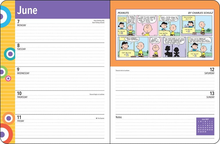 AMC PEANUTS® 2027 Monthly/Weekly Planner Calendar