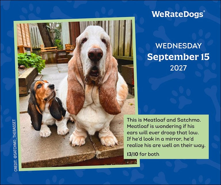 WeRateDogs 2027 Day-to-Day Calendar