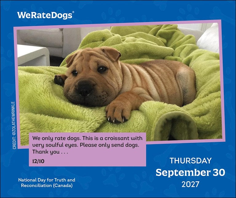 WeRateDogs 2027 Day-to-Day Calendar