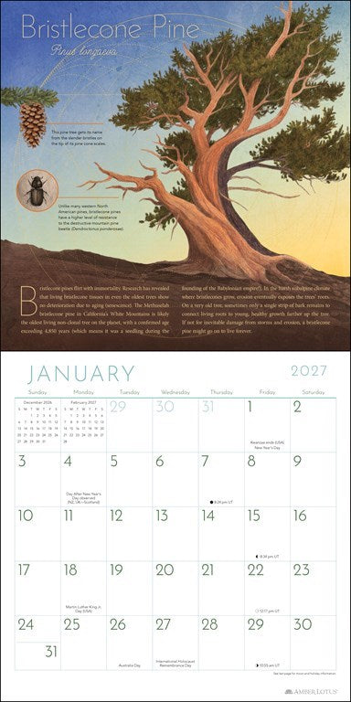 AL Trees of Life 2027 Wall Calendar