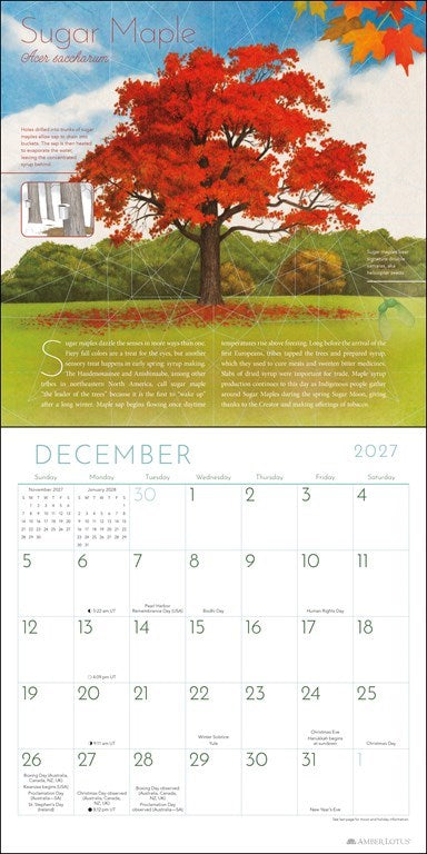 AL Trees of Life 2027 Wall Calendar