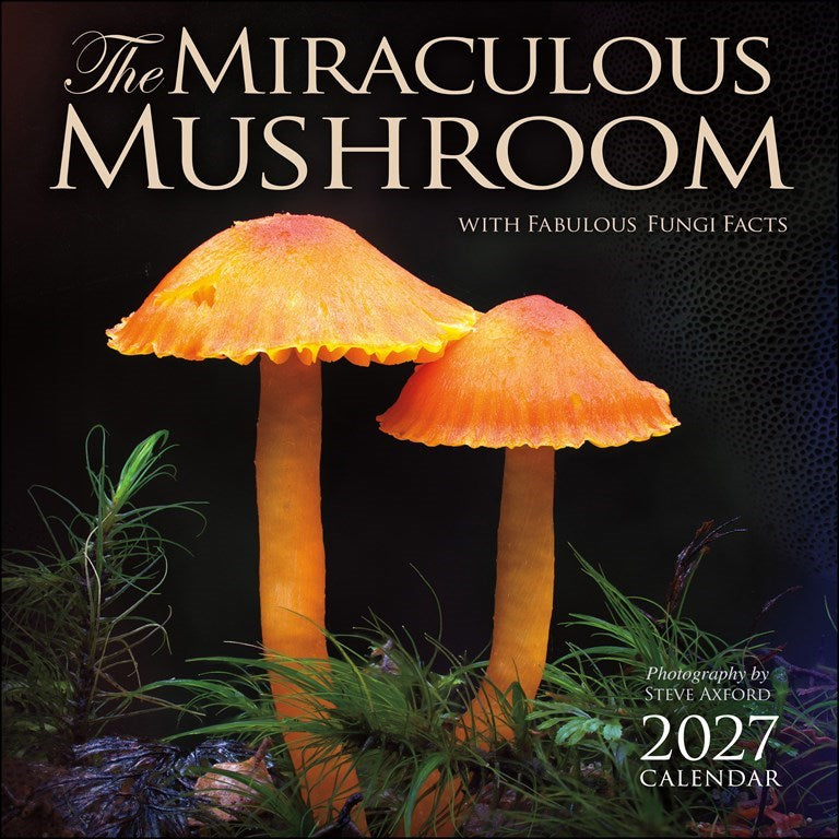 The Miraculous Mushroom 2027 Wall Calendar