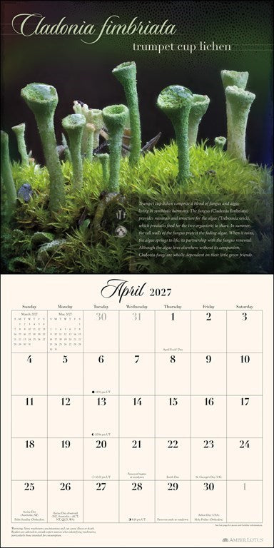 The Miraculous Mushroom 2027 Wall Calendar