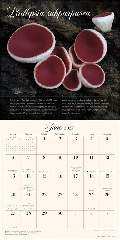 The Miraculous Mushroom 2027 Wall Calendar