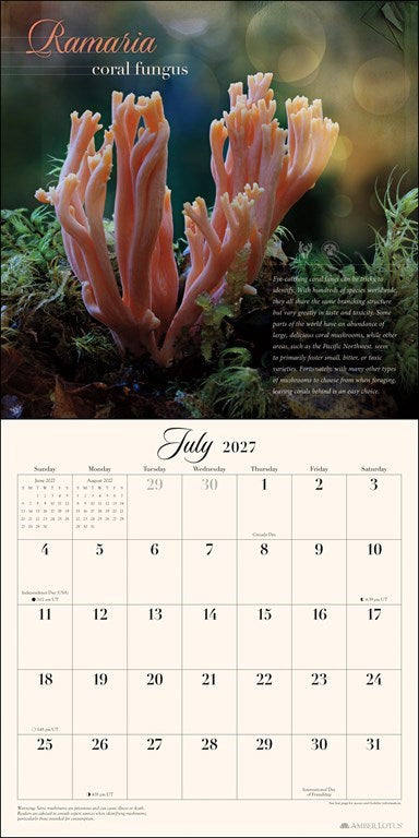 The Miraculous Mushroom 2027 Wall Calendar