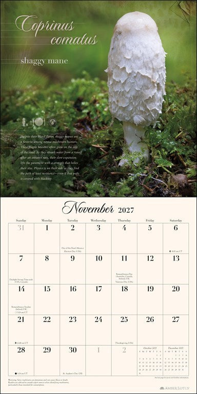 The Miraculous Mushroom 2027 Wall Calendar