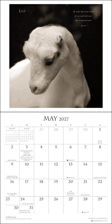 I Am Goat 2027 Wall Calendar