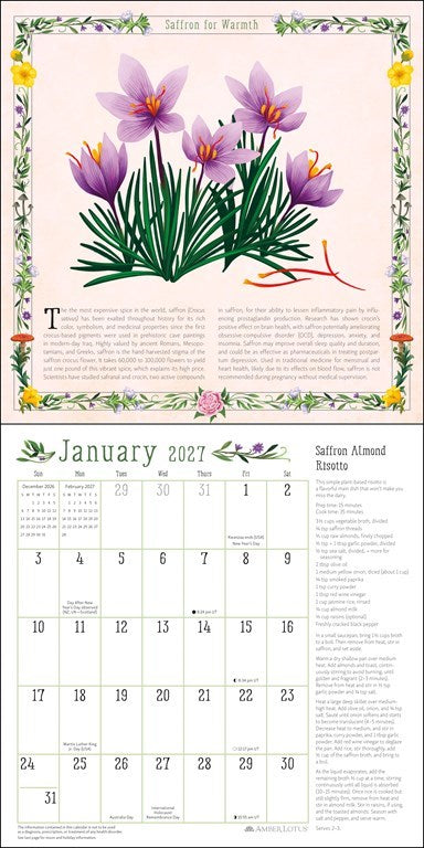 Kitchen Witch 2027 Wall Calendar