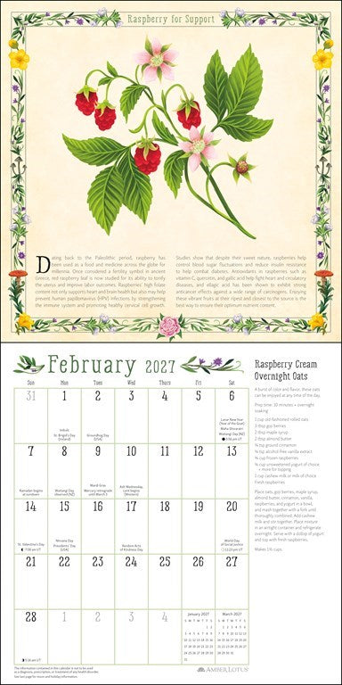 Kitchen Witch 2027 Wall Calendar