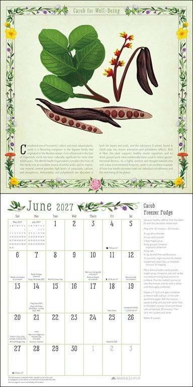 Kitchen Witch 2027 Wall Calendar