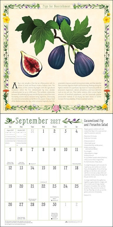 Kitchen Witch 2027 Wall Calendar