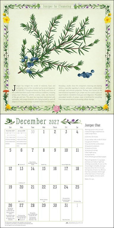 Kitchen Witch 2027 Wall Calendar