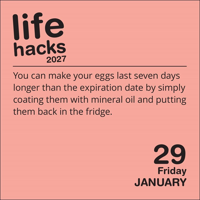 Life Hacks 2027 Day-to-Day Calendar