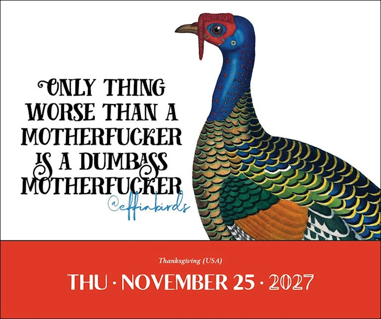 AMC Effin’ Birds 2027 Day-to-Day Calendar by Aaron Reynolds