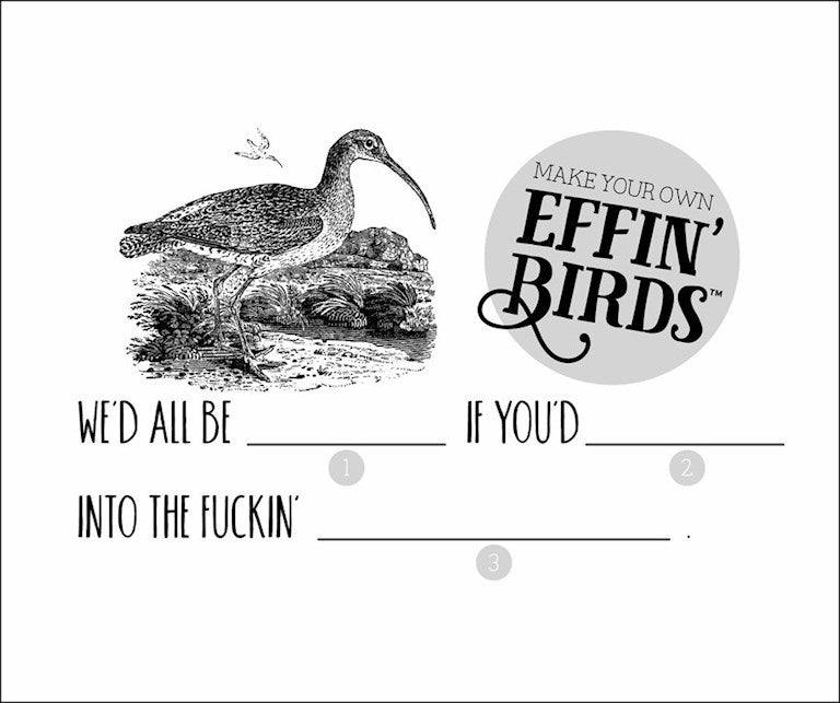 AMC Effin’ Birds 2027 Day-to-Day Calendar by Aaron Reynolds