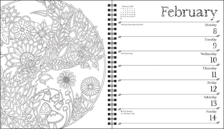 AMC Johanna Basford 2027 Weekly Coloring Calendar