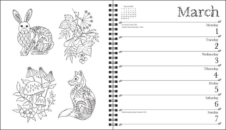 AMC Johanna Basford 2027 Weekly Coloring Calendar
