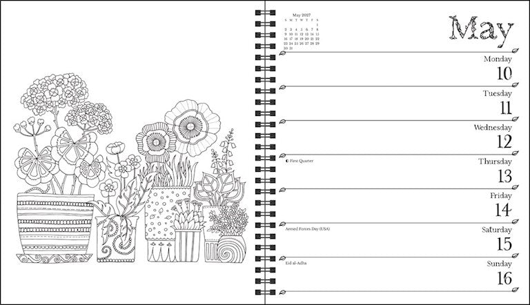 AMC Johanna Basford 2027 Weekly Coloring Calendar