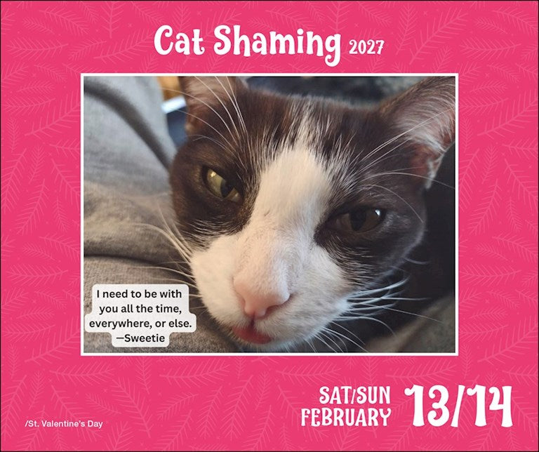 Cat Shaming 2027 Page-A-Day Calendar