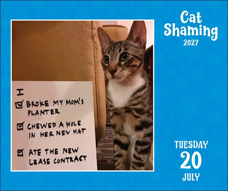 Cat Shaming 2027 Page-A-Day Calendar