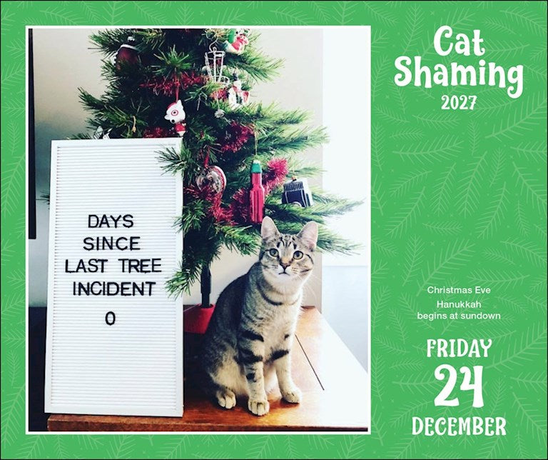 Cat Shaming 2027 Page-A-Day Calendar