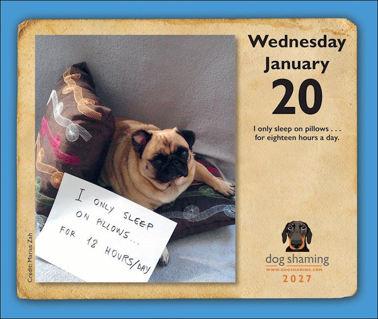 Dog Shaming 2027 Day-to-Day Calendar