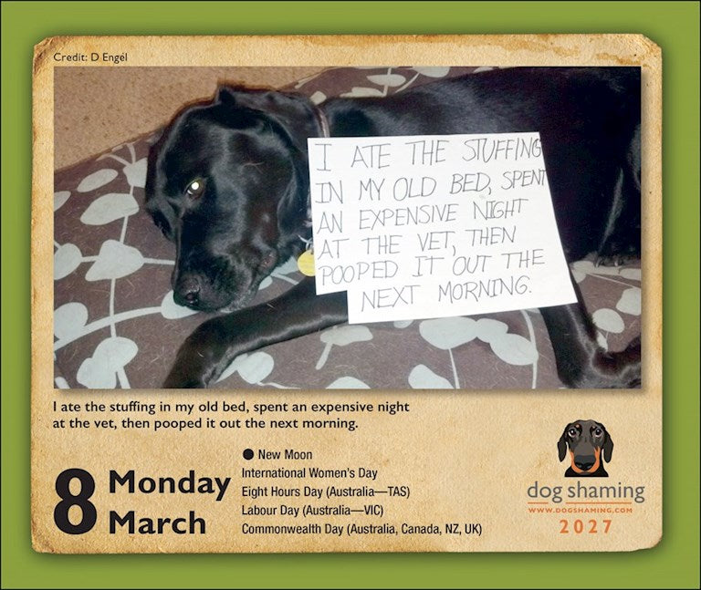 Dog Shaming 2027 Day-to-Day Calendar