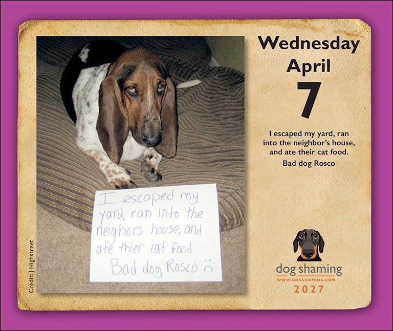 Dog Shaming 2027 Day-to-Day Calendar