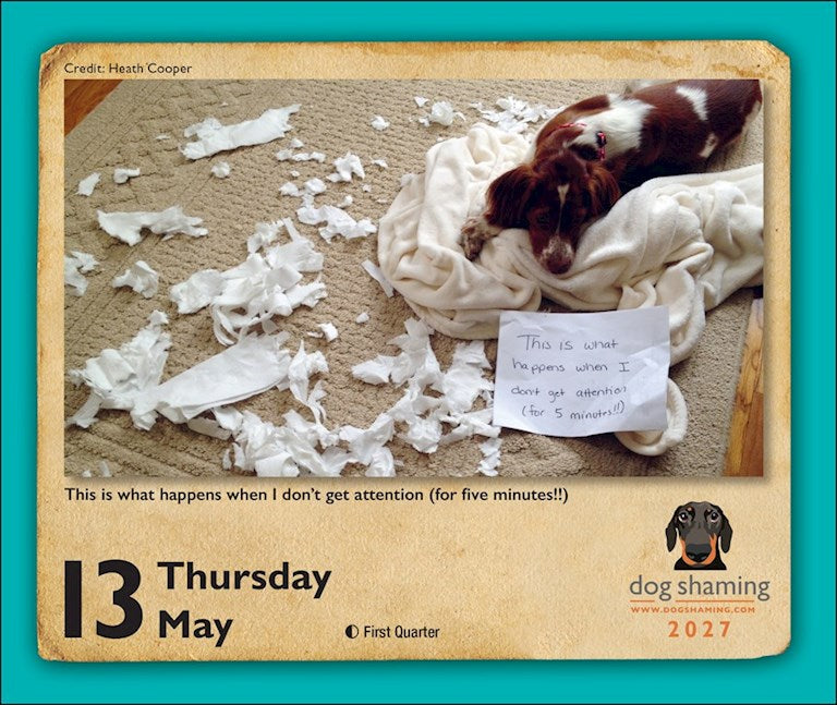 Dog Shaming 2027 Day-to-Day Calendar