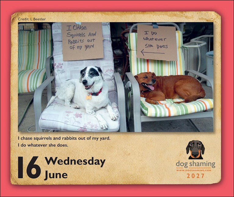 Dog Shaming 2027 Day-to-Day Calendar