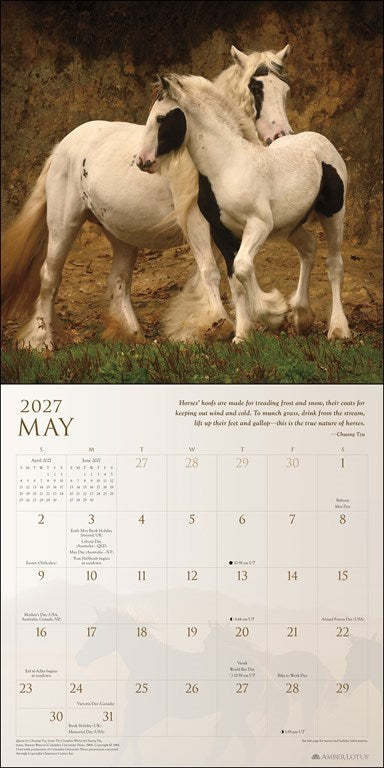 Spirit Horses 2027 Wall Calendar by Tony Stromberg