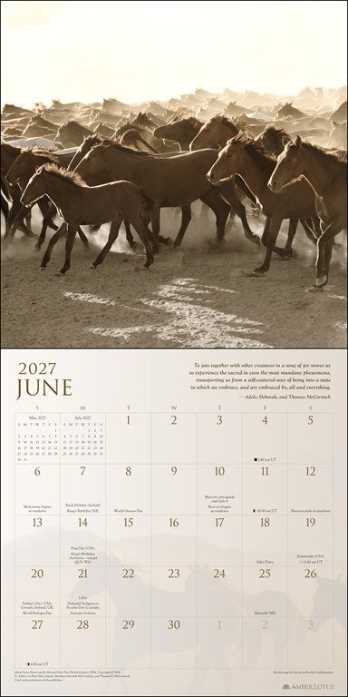 Spirit Horses 2027 Wall Calendar by Tony Stromberg