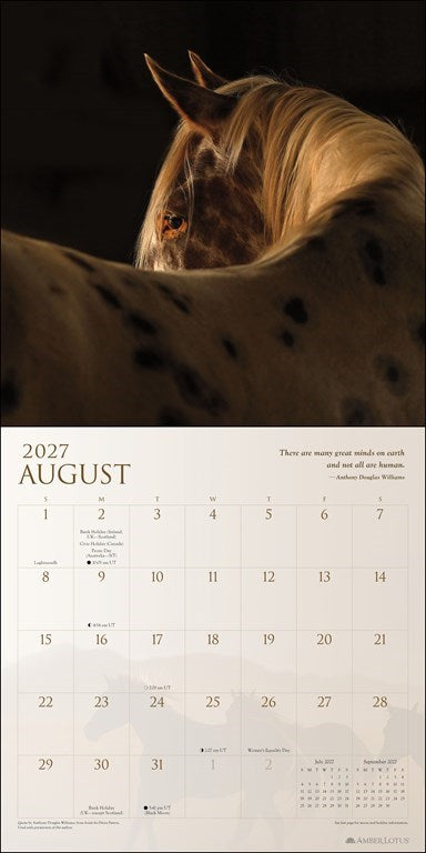 Spirit Horses 2027 Wall Calendar by Tony Stromberg