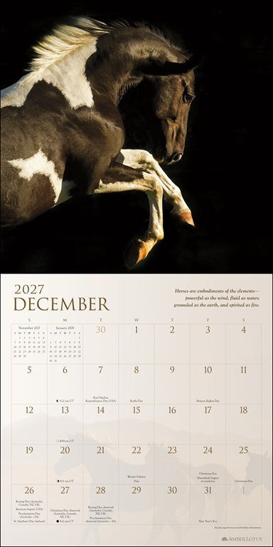 Spirit Horses 2027 Wall Calendar by Tony Stromberg