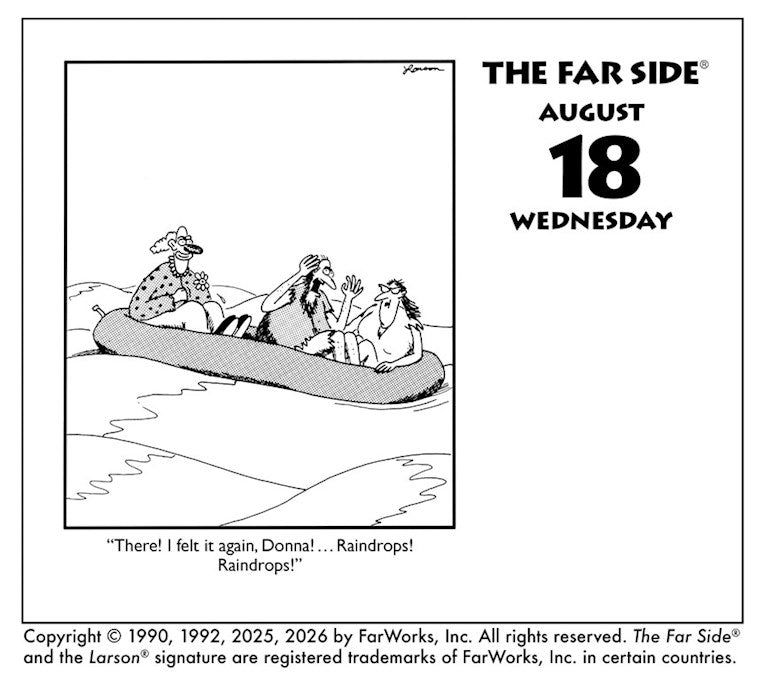 AMC The Far Side® 2027 Off-The-Wall Day-to-Day Calendar