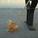 Jack Rabbit Duck Push Toy