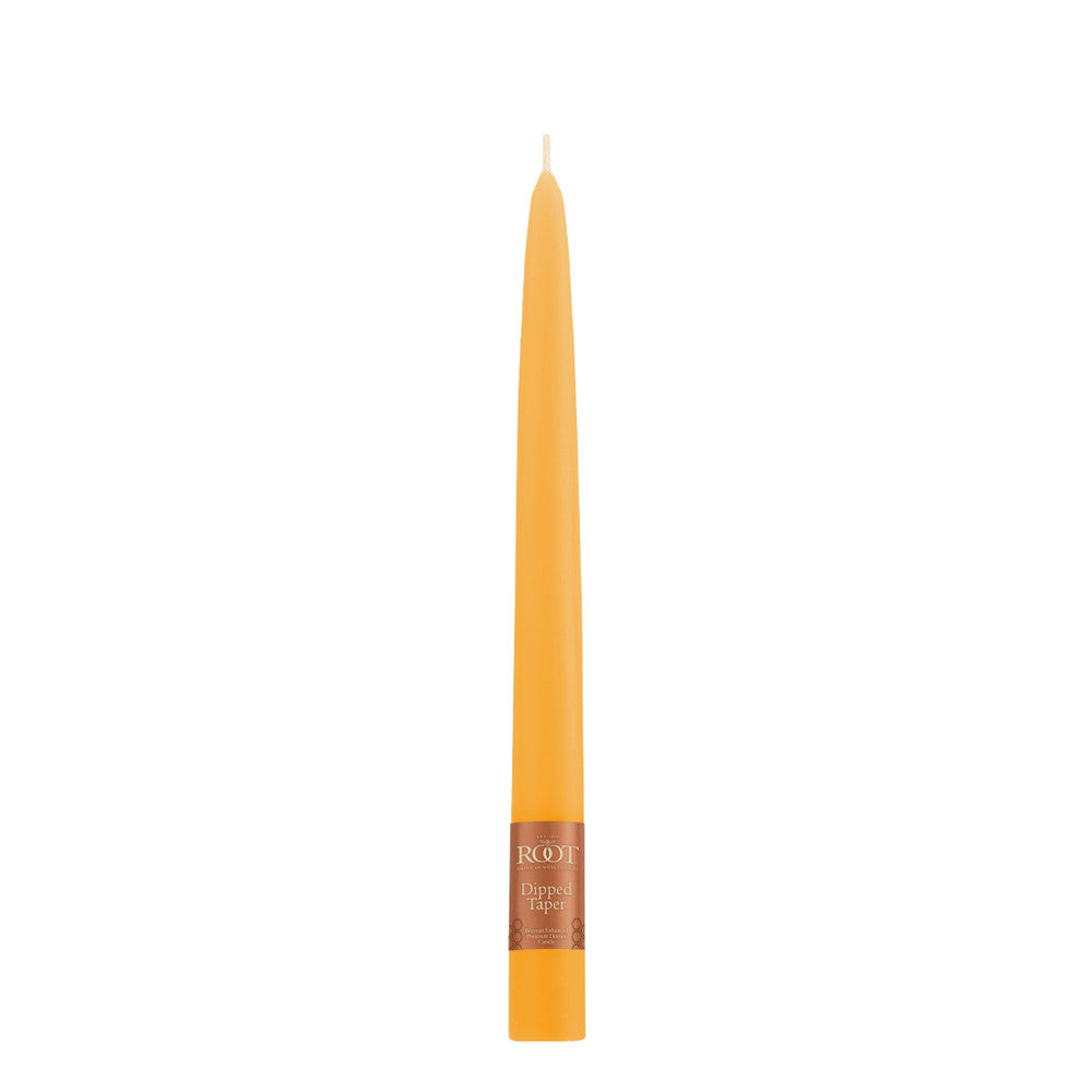 ROOT 9" Dipped Taper Candle - Butterscotch