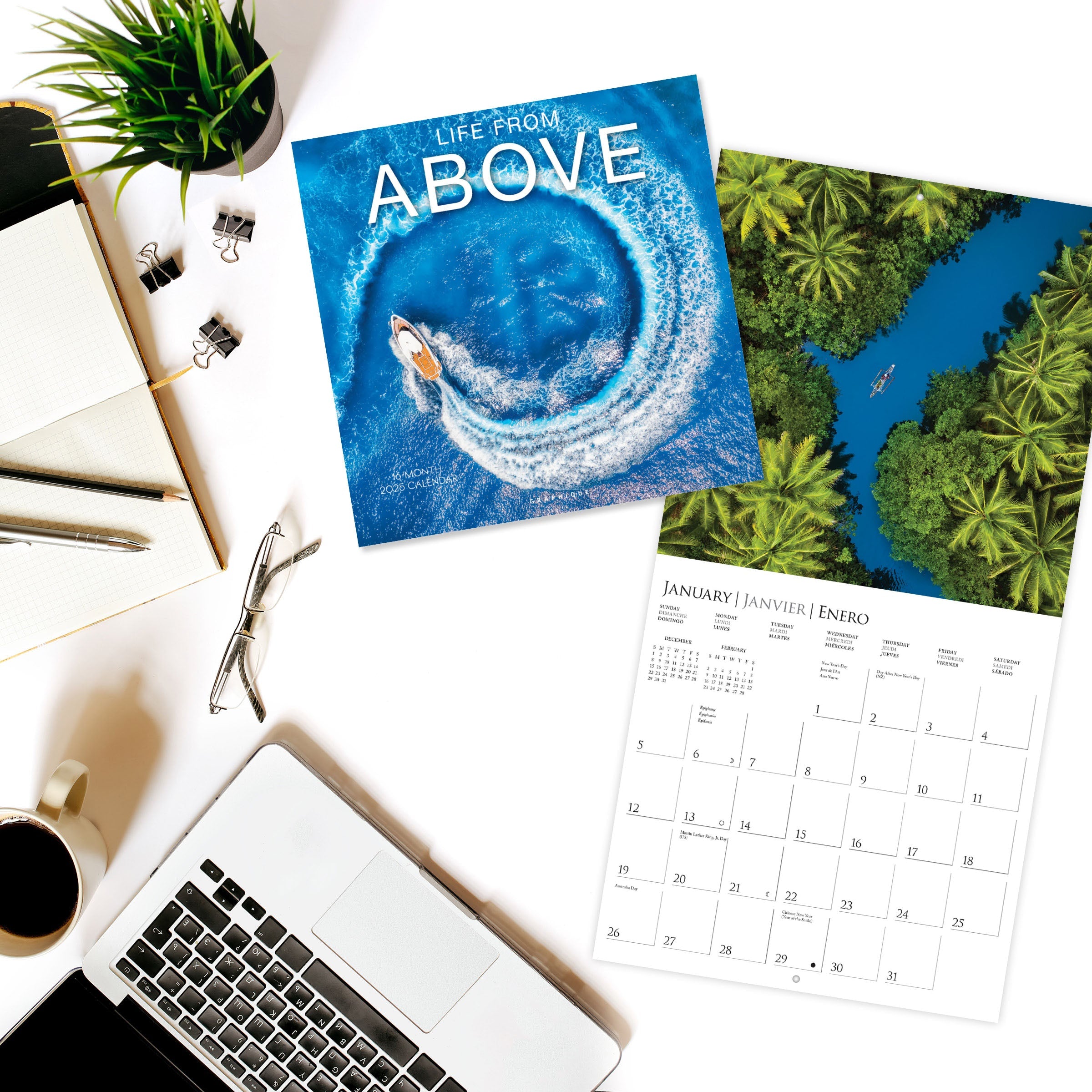 Life From Above 2025 Wall Calendar    